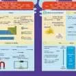 Common Entrance KS3 Science Revision Book