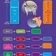 Common Entrance KS3 Science Revision Mind Map