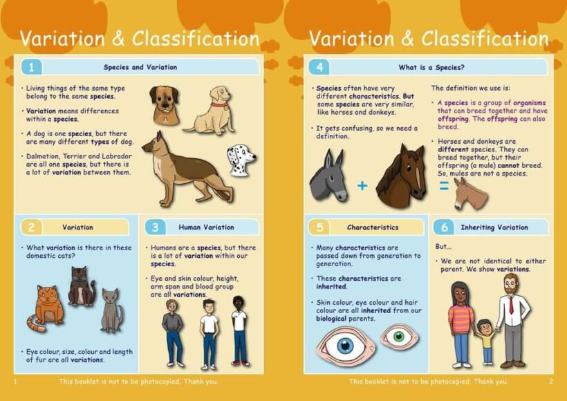 Common Entrance KS3 Science Revision Book