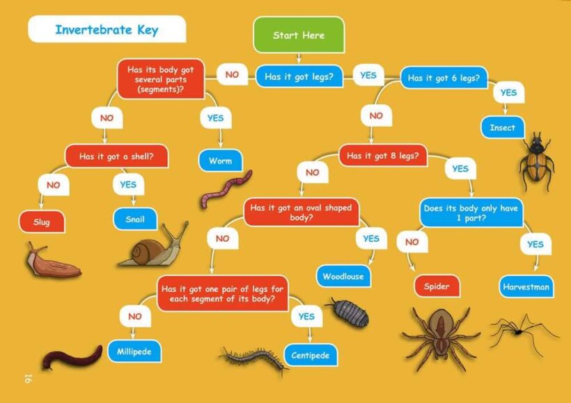 Common Entrance KS3 Science Revision Mind Map