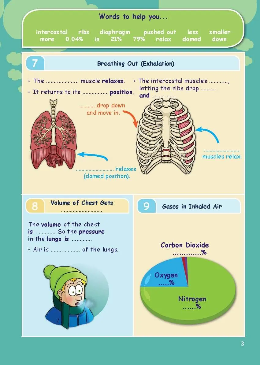 CE/KS3 Science: Biology: Breathing & Respiration