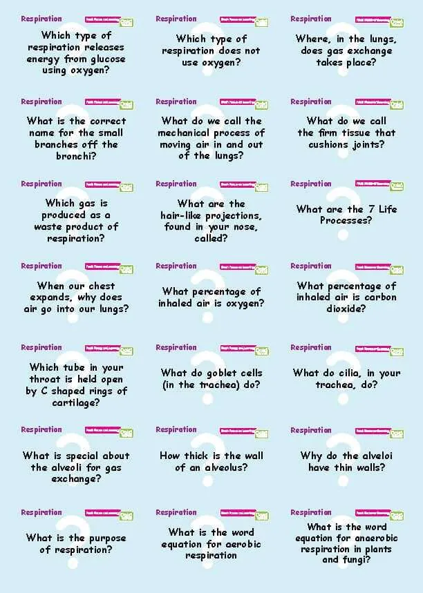 Common Entrance KS3 Science Revision Flashcards