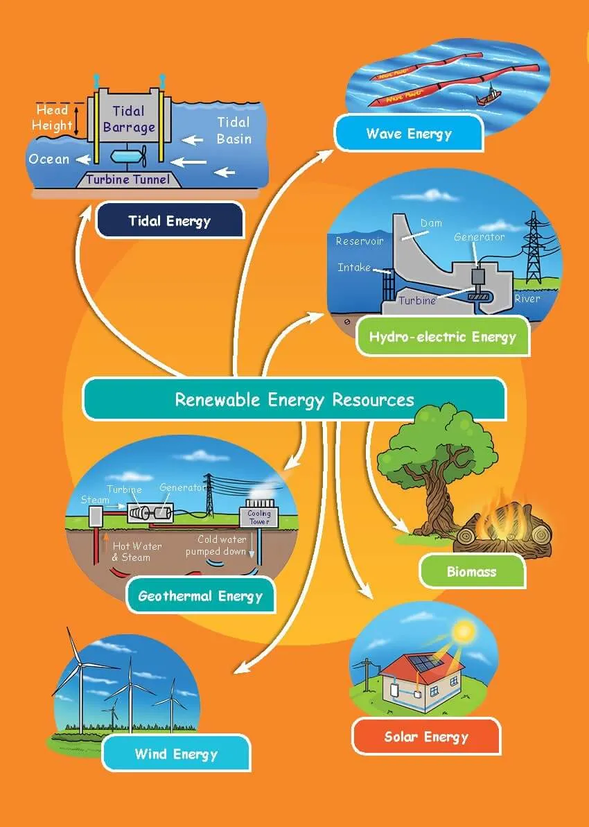Common Entrance KS3 Science Revision Mind Map