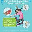 KS2 Science: Biology: Our Bodies, How They Grow & Move