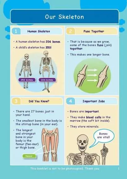 KS2 Science: Biology: Our Bodies, How They Grow & Move