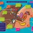 Common Entrance KS3 Science Revision Game