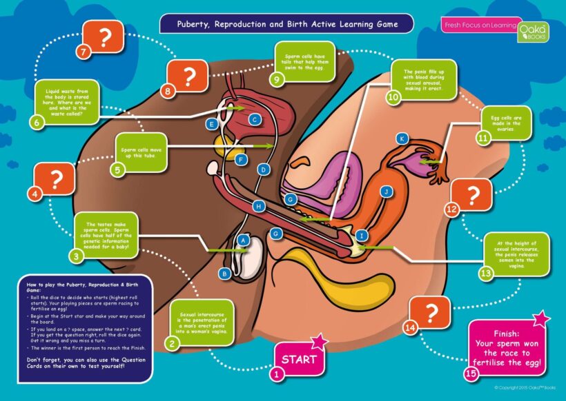 Common Entrance KS3 Science Revision Game