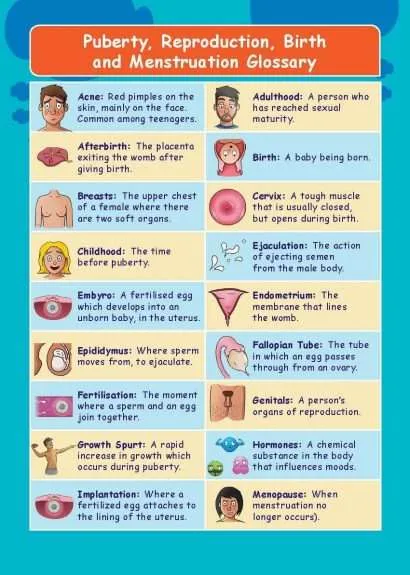Common Entrance KS3 Science Revision Glossary