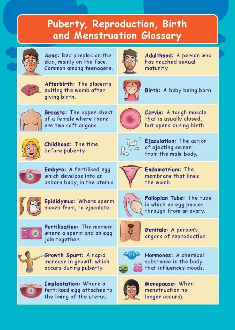 Common Entrance KS3 Science Revision Glossary