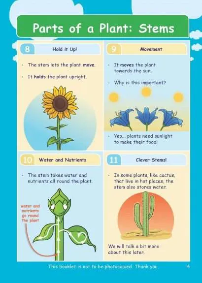 KS2 Science: Biology: Plant Growth & Lifecycles