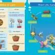 KS2 Science: Biology: Plant Growth & Lifecycles
