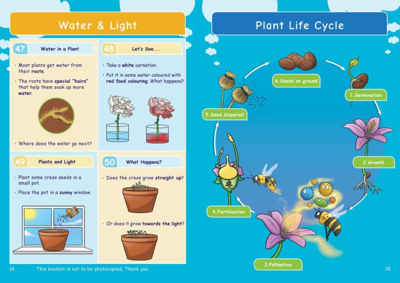 KS2 Science: Biology: Plant Growth & Lifecycles