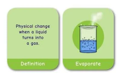 Common Entrance KS3 Science Revision Game