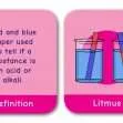 Common Entrance KS3 Science Revision Game