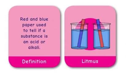 Common Entrance KS3 Science Revision Game