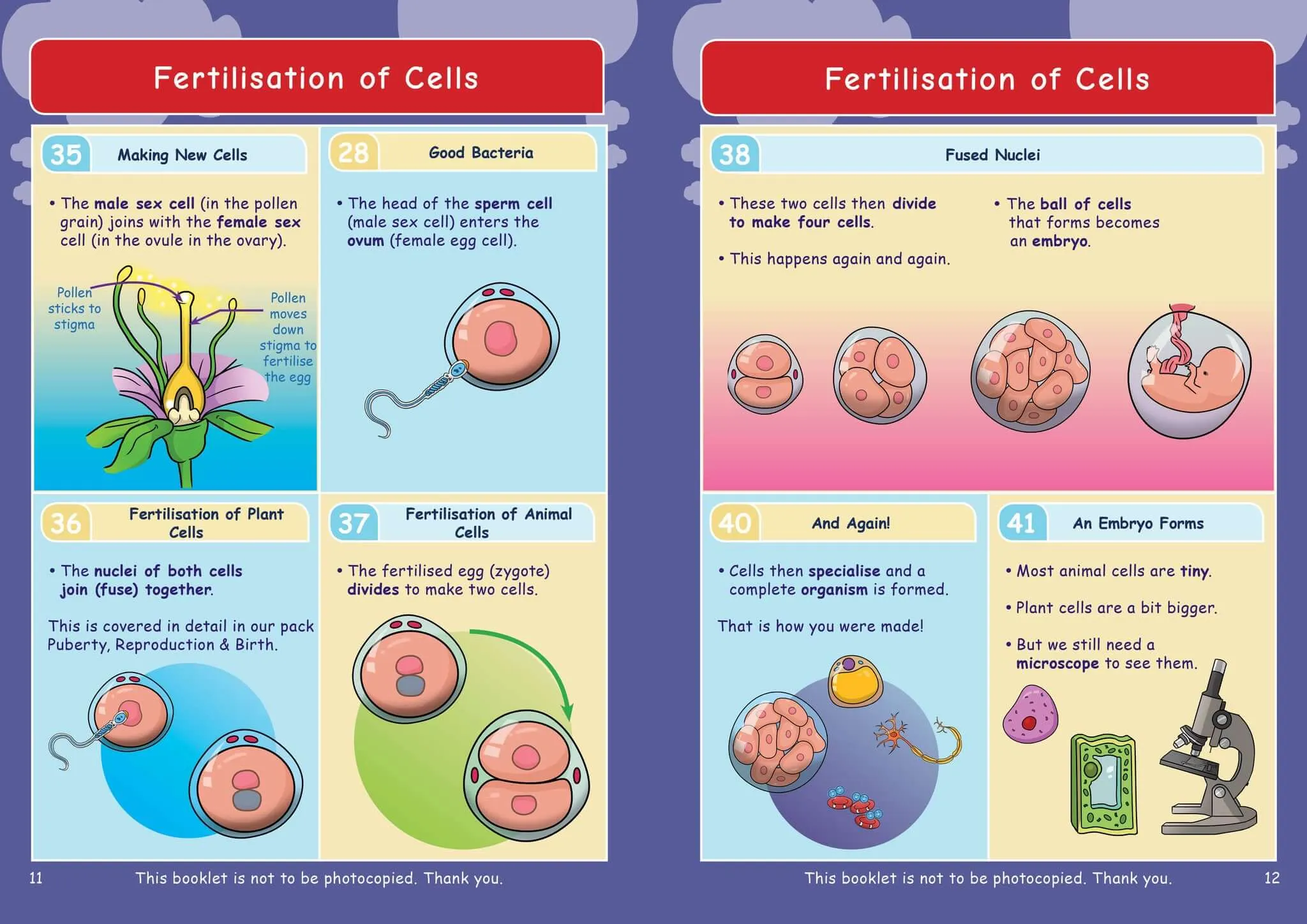 Common Entrance KS3 Science Revision Book