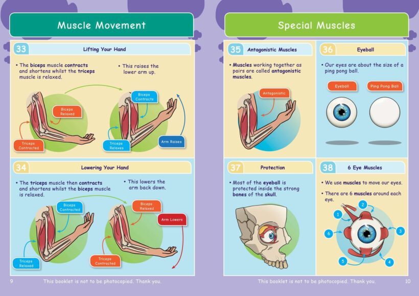 Common Entrance KS3 Science Revision Book