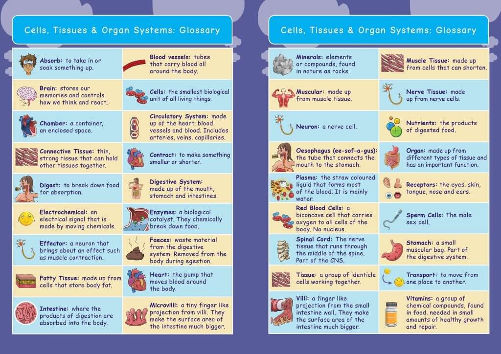 Ce Ks3 Biology Cells And Organisation Part 2 Resources For Dyslexics