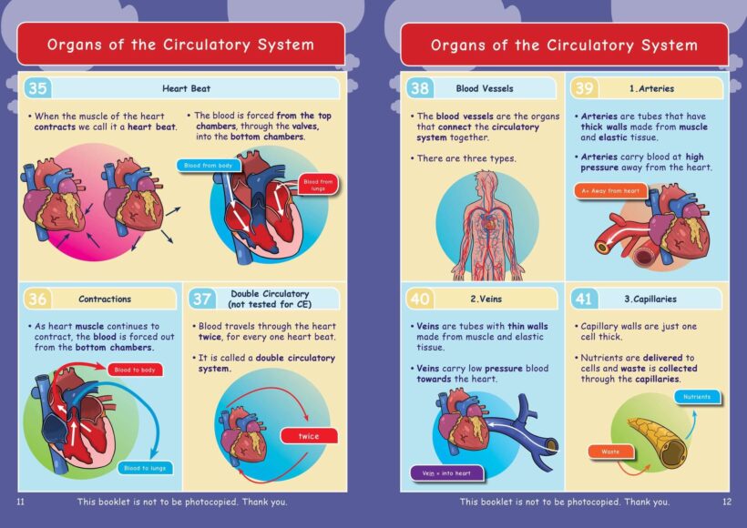 Common Entrance KS3 Science Revision Book