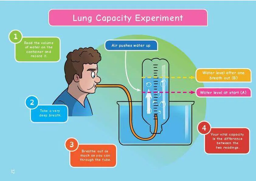Common Entrance KS3 Science Revision Mind Map