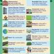Common Entrance KS3 Geography Revision Glossary
