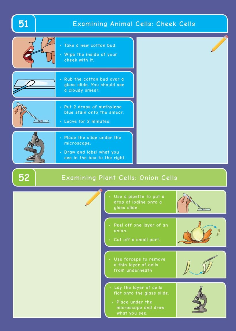 Common Entrance KS3 Science Revision Book