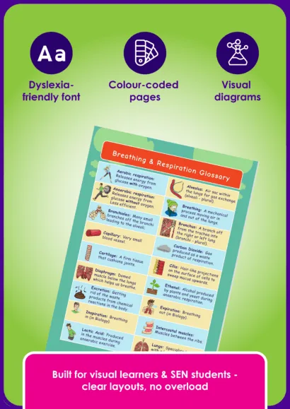 CE/KS3 Revision Bundle - 49 KS3/CE Topics - Image 2