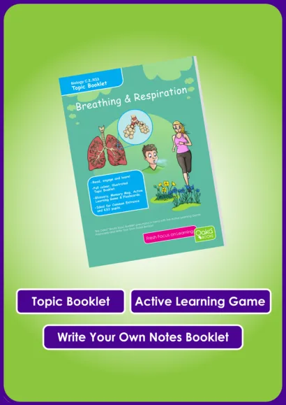 CE/KS3 Revision Bundle - 49 KS3/CE Topics - Image 3