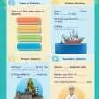 Common Entrance KS3 Geography Revision Book