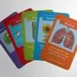 CE/KS3 Science Scramble Biology (£29.98 inc. VAT)