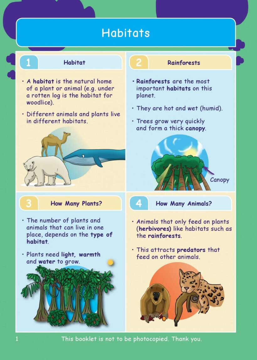 Common Entrance KS3 Science Revision Book