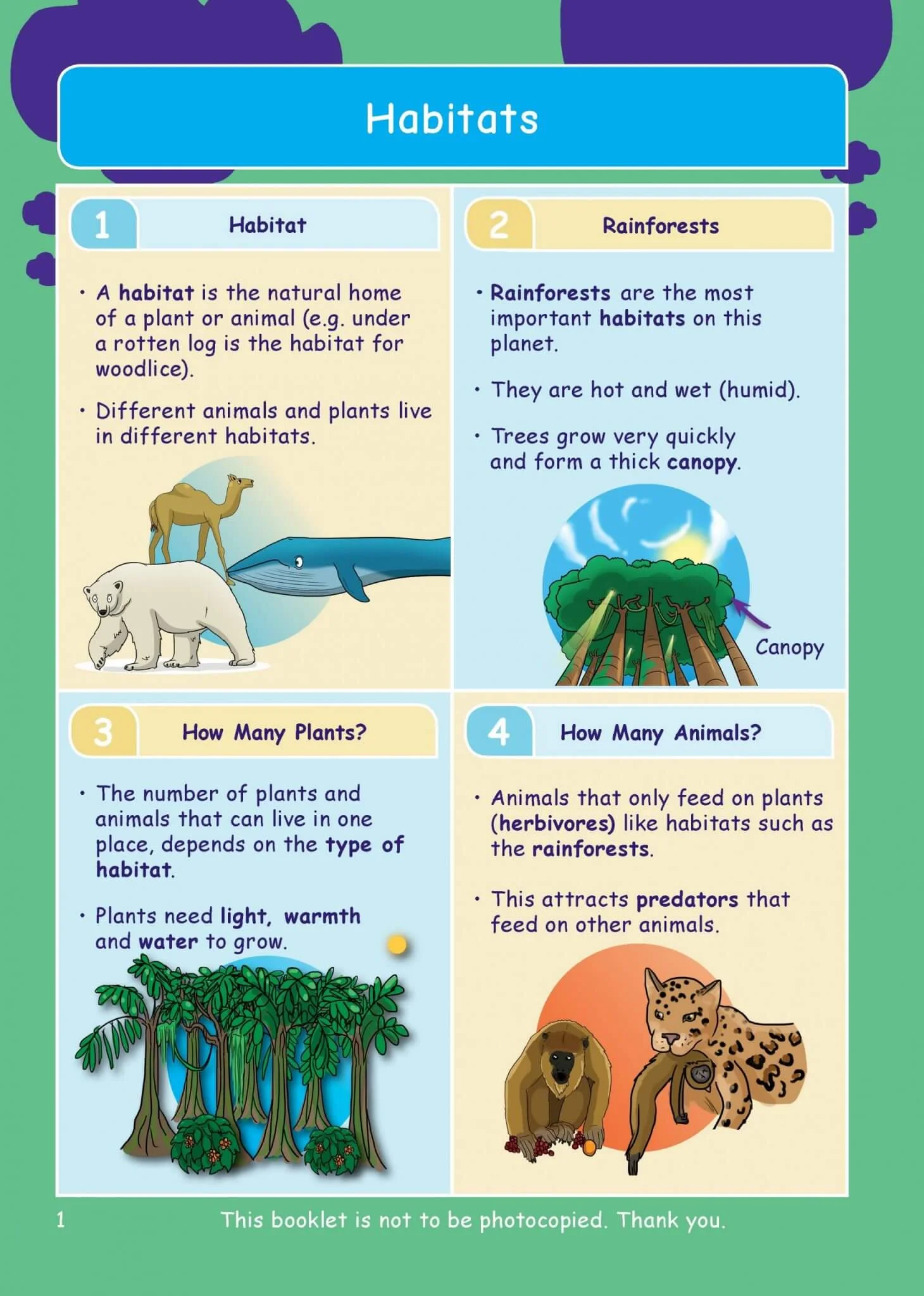 Common Entrance KS3 Science Revision Book
