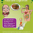 CE/KS3 Science: Biology: Food & Digestion