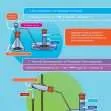 Common Entrance KS3 Science Revision Mind Map