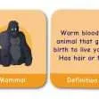 CE/KS3 Pairs Game: Biology - BACK IN STOCK!