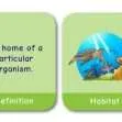 CE/KS3 Pairs Game: Biology - BACK IN STOCK!