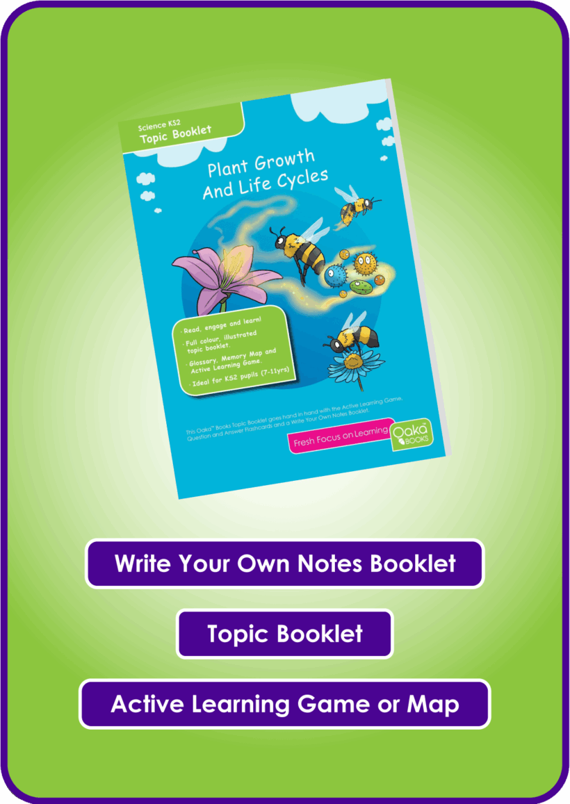 Primary KS2 Science - 3 Topic Bundle - Image 4