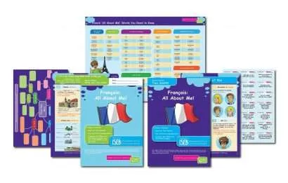 CE/KS3 French: All About Me