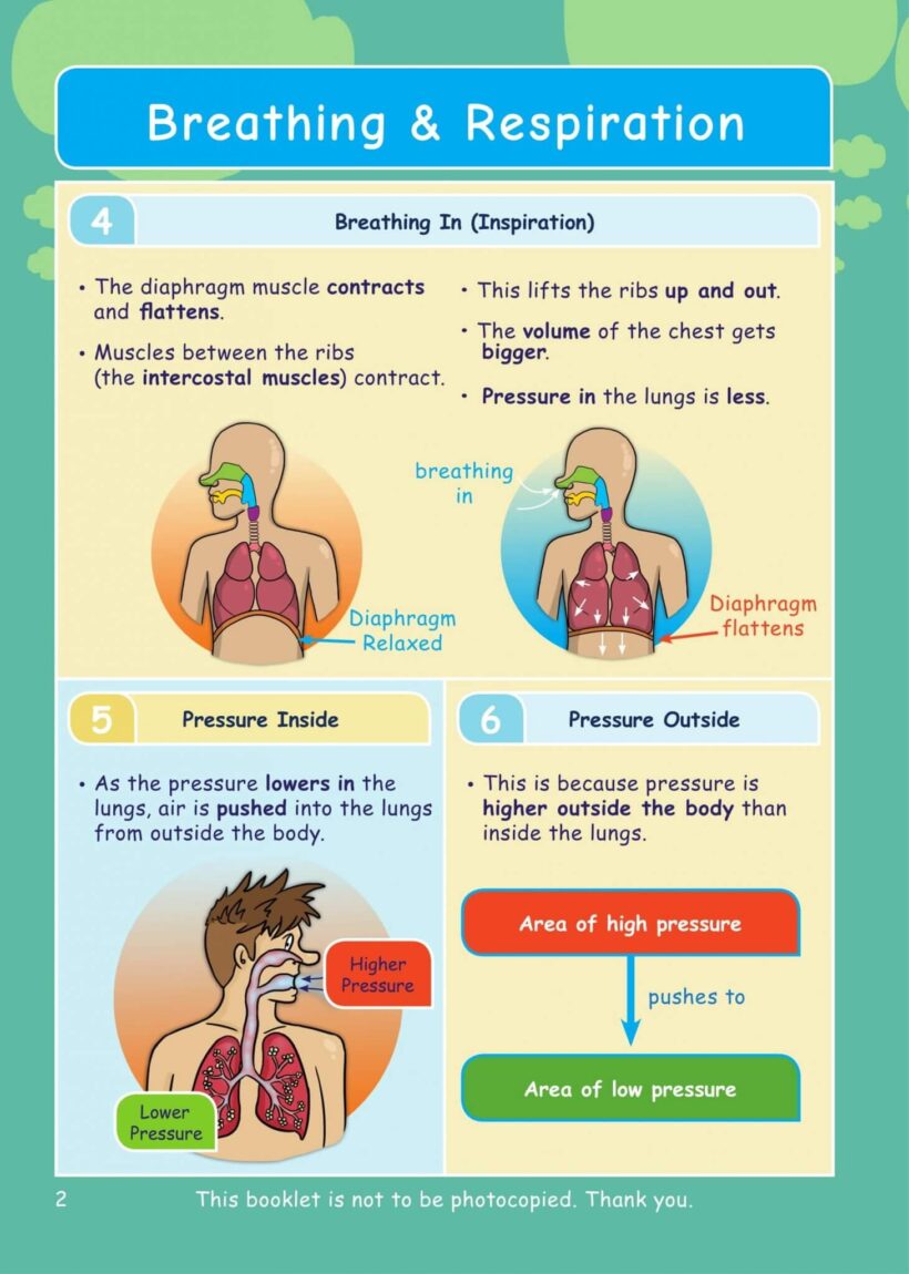 CE/KS3 Science: Biology: Breathing & Respiration