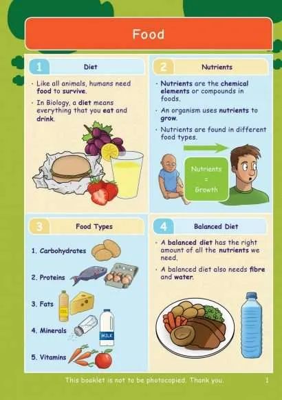 CE/KS3 Science: Biology: Food & Digestion