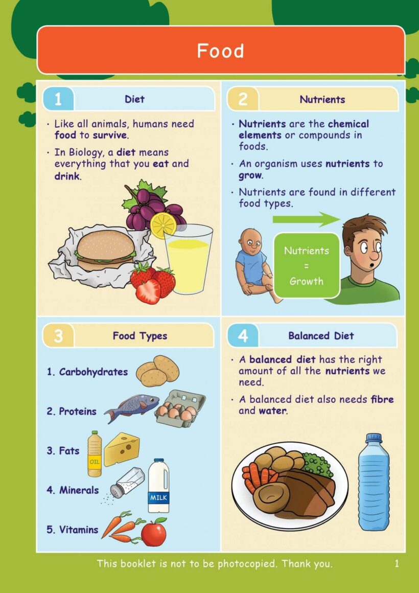 CE/KS3 Science: Biology: Food & Digestion