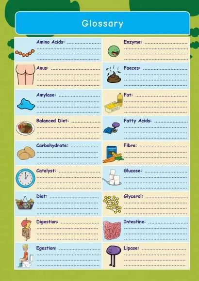 CE/KS3 Science: Biology: Food & Digestion
