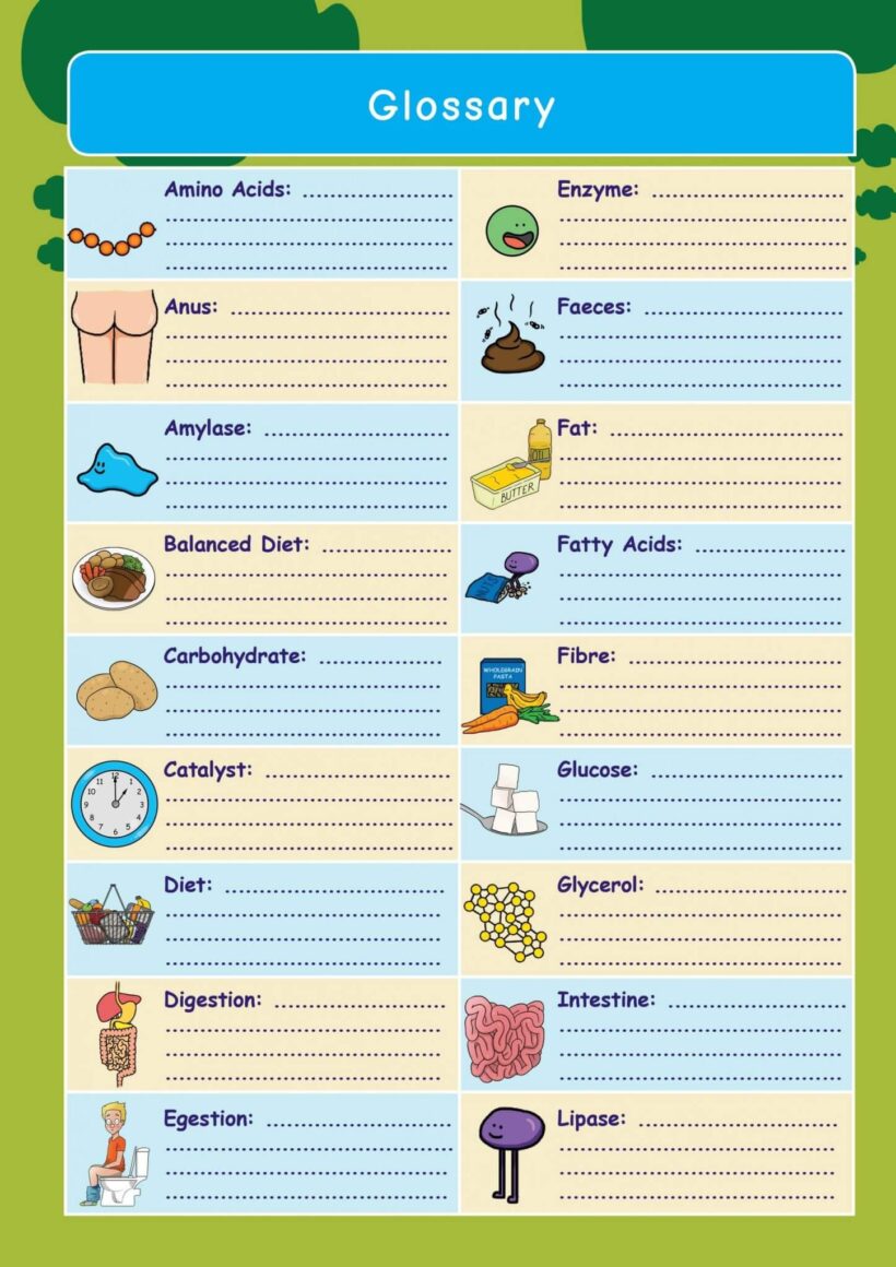 CE/KS3 Science: Biology: Food & Digestion