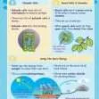 CE/KS3 Science: Biology: Plants & Photosynthesis