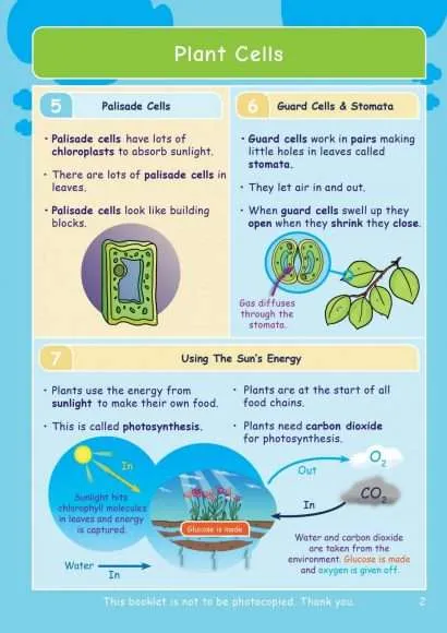 CE/KS3 Science: Biology: Plants & Photosynthesis