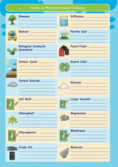 CE/KS3 Science: Biology: Plants & Photosynthesis