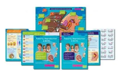 CE/KS3 Science: Biology: Puberty, Reproduction & Birth