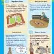 KS2 History: Roman Britain