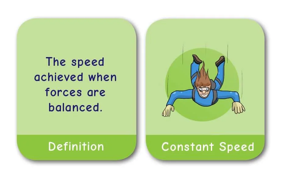 CE/KS3 Pairs Game: Physics