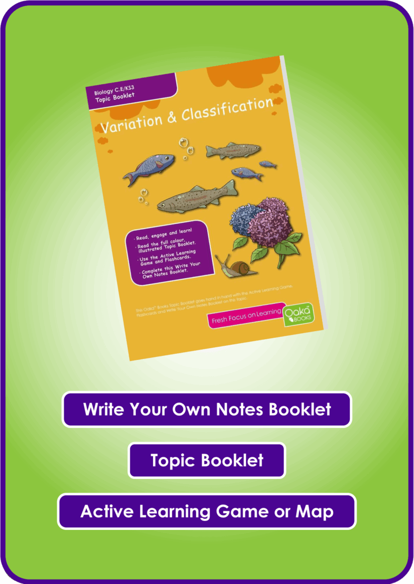 KS3 / CE Science - 24 Topic Bundle - Image 3